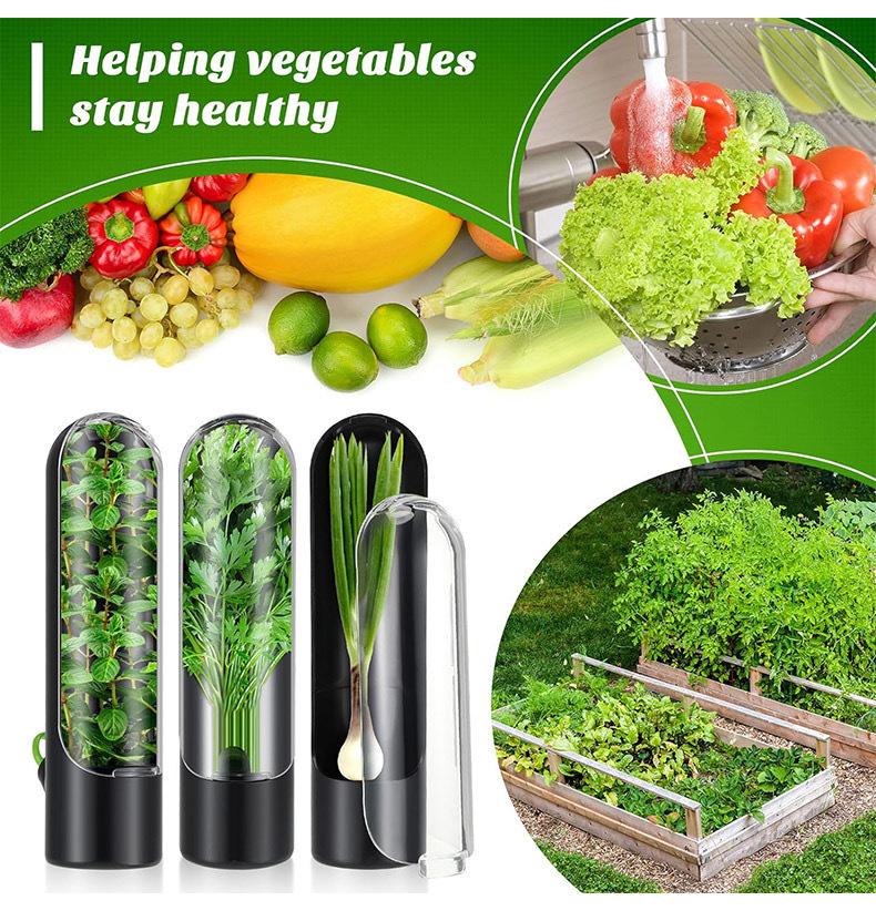 Herb Keeper Bottle - Vegetables Fresh Preservation Bottle Herb Saver