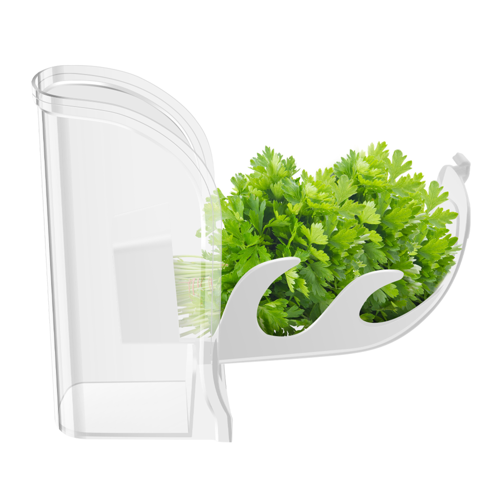 Herb Crisper Saver Container R - đánh giá và giá Herb Keeper Bottle